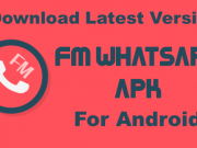 Download FMWhatsApp APK for Android