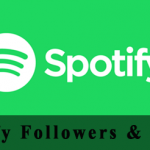 Buy Spotify Followers and Plays