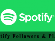 Buy Spotify Followers and Plays
