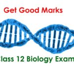 Class-12-Biology-Exams
