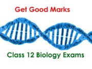 Class-12-Biology-Exams