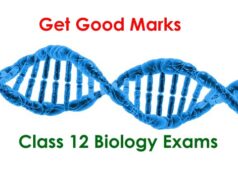 How to Get Good Marks in you Class 12 Biology Exams? Class-12-Biology-Exams