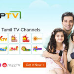 yupptv-tamil-tv-channels