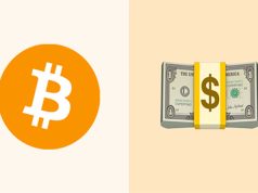 Fiat vs Crypto: Pros and Cons for Online Casinos Fiat vs Crypto: Pros and Cons for Online Casinos